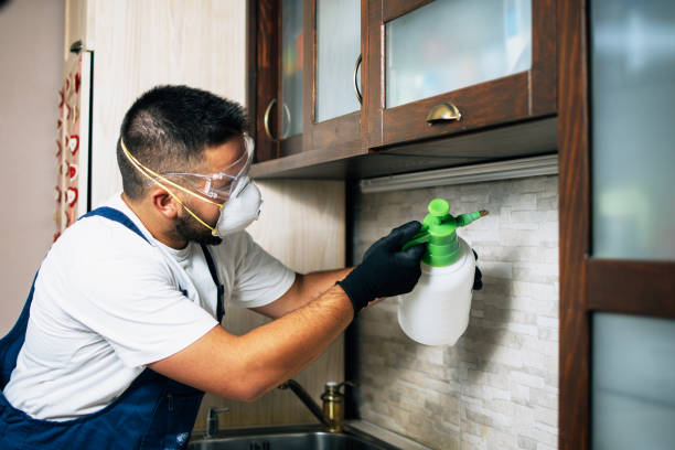 Best Exterminator Services  in Mount Washington, KY