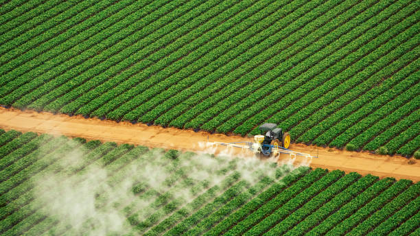 Best Commercial Pest Control Services  in Mount Washington, KY