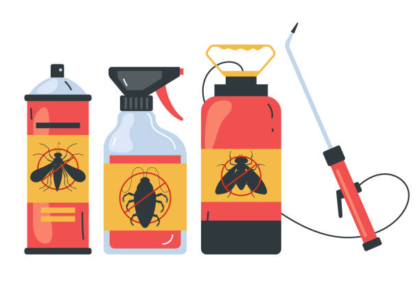 Best Local Pest Control Services  in Mount Washington, KY