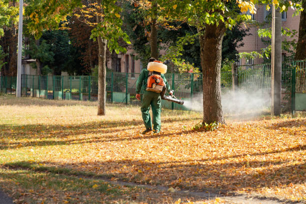 Pest Prevention Services in Mount Washington, KY