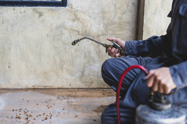 Professional Pest Control in Mount Washington, KY