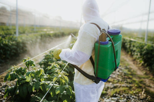 Best Commercial Pest Control Services  in Mount Washington, KY